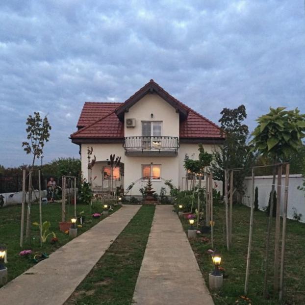 Blue Sky House Hotel Balotesti Exterior photo